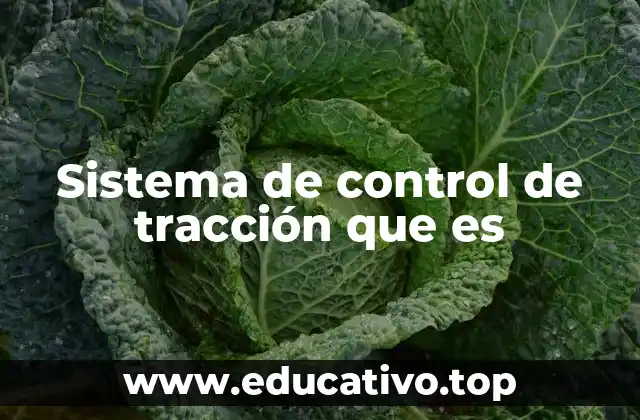 Sistema de control de tracción que es