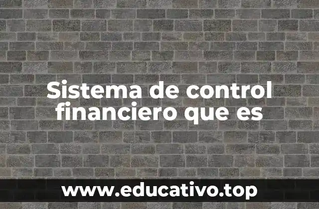 Sistema de control financiero que es