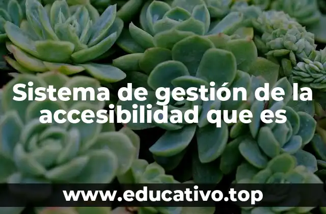 Sistema de gestión de la accesibilidad que es