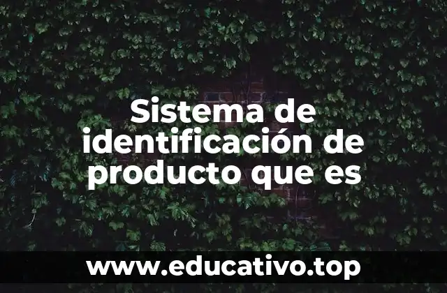Sistema de identificación de producto que es