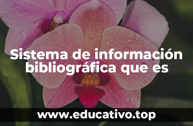 Sistema de información bibliográfica que es