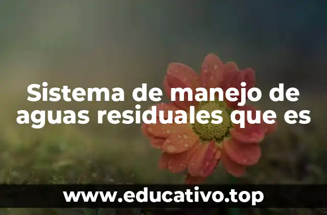 Sistema de manejo de aguas residuales que es
