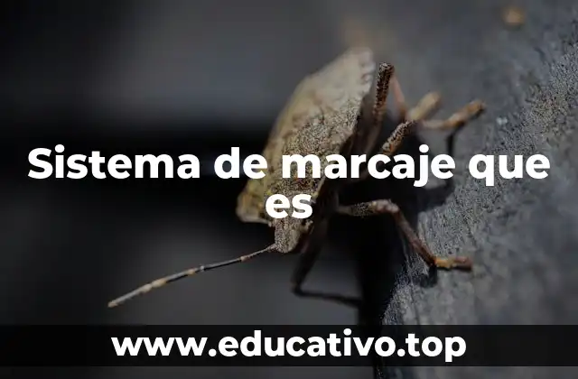 Sistema de marcaje que es
