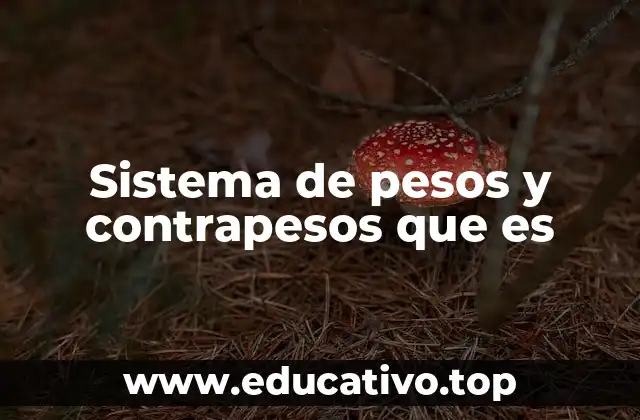 Sistema de pesos y contrapesos que es