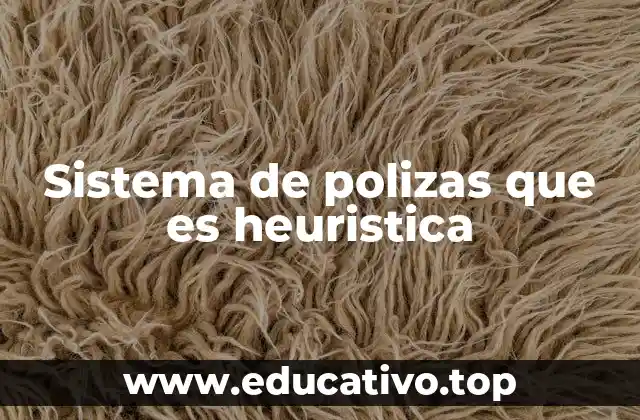 Sistema de polizas que es heuristica