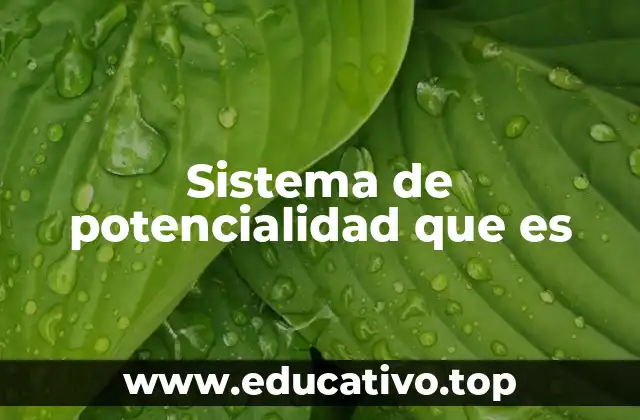 Sistema de potencialidad que es