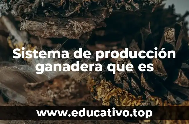 Sistema de producción ganadera que es