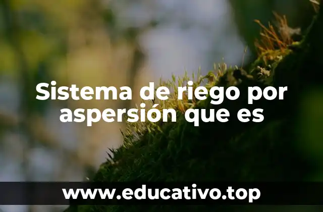 Sistema de riego por aspersión que es