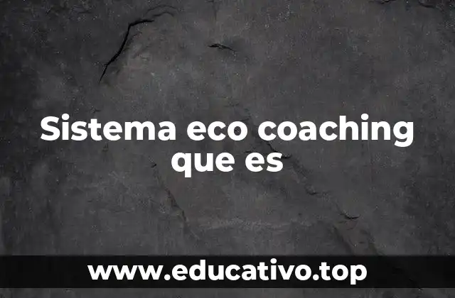 Sistema eco coaching que es