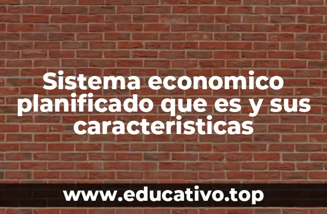 Sistema economico planificado que es y sus caracteristicas