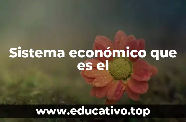Sistema económico que es el