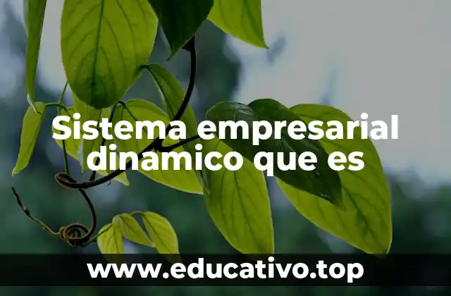 Sistema empresarial dinamico que es