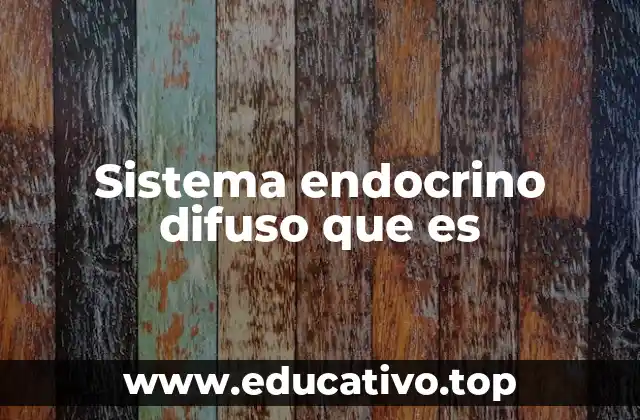 Sistema endocrino difuso que es