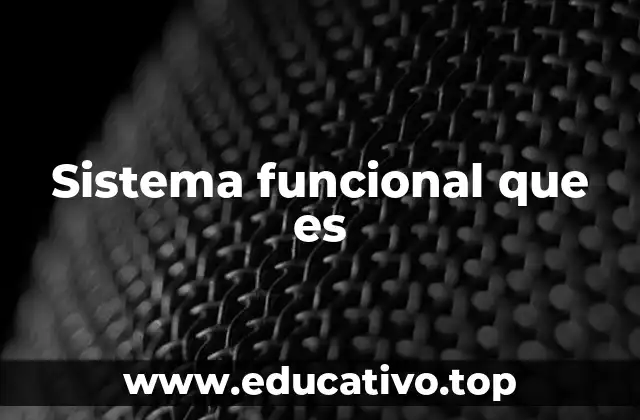 Sistema funcional que es