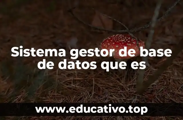 Sistema gestor de base de datos que es