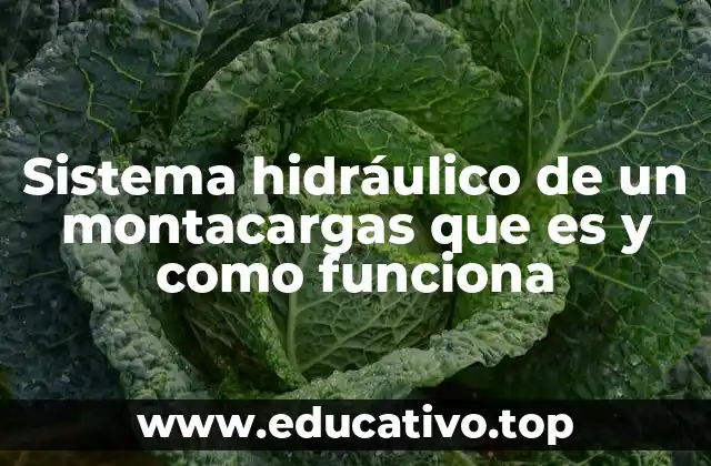 Sistema hidráulico de un montacargas que es y como funciona