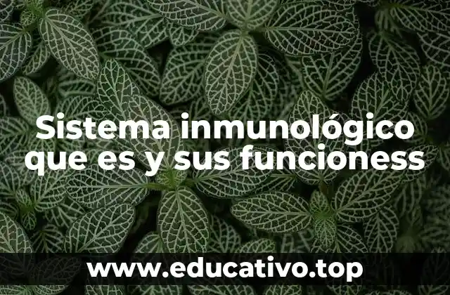 Sistema inmunológico que es y sus funcioness