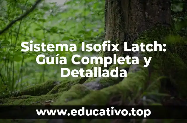 Sistema Isofix Latch: Guía Completa y Detallada