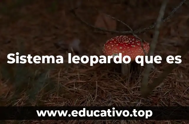 Sistema leopardo que es