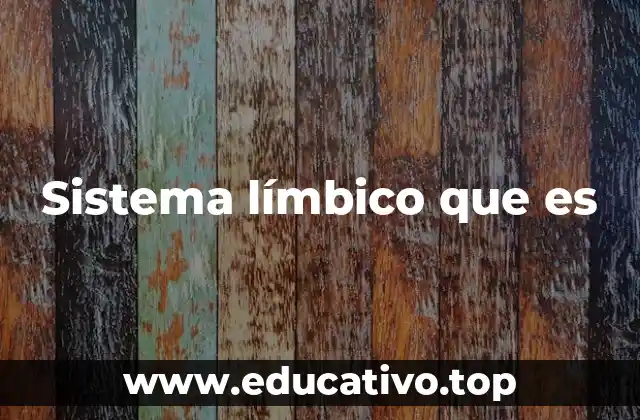 Sistema límbico que es