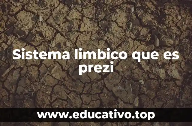 Sistema limbico que es prezi