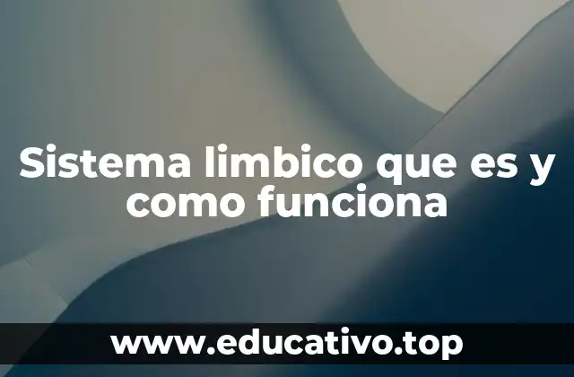 Sistema limbico que es y como funciona