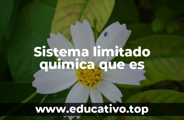 Sistema limitado quimica que es