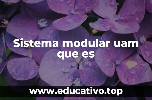 Características del sistema modular en la UAM