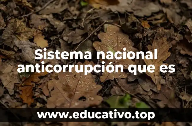 Sistema nacional anticorrupción que es
