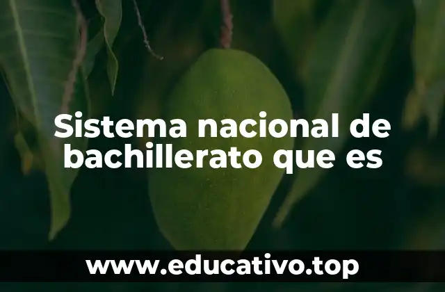 Sistema nacional de bachillerato que es