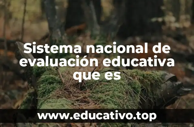 Sistema nacional de evaluación educativa que es