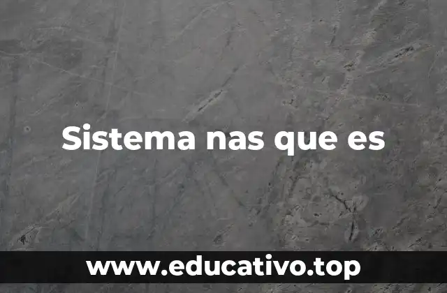 Sistema nas que es