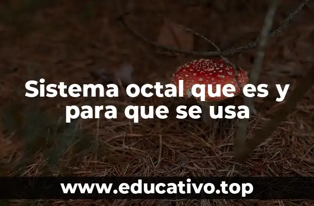 Sistema octal que es y para que se usa