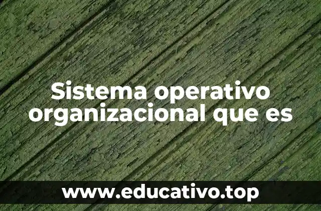 Sistema operativo organizacional que es