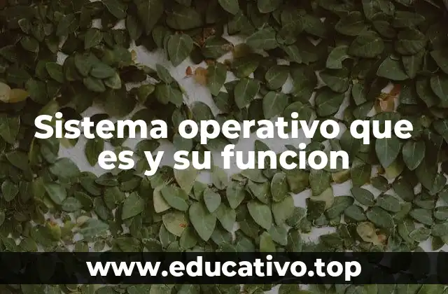 Sistema operativo que es y su funcion