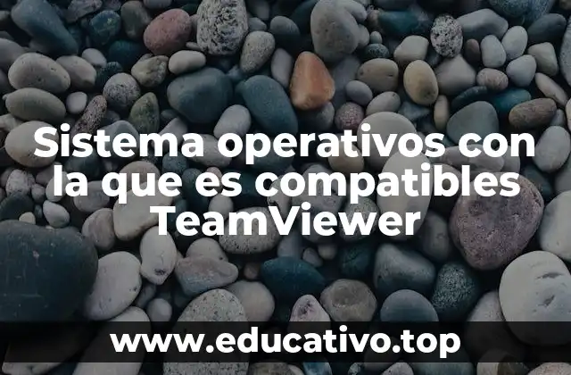 Cómo TeamViewer se adapta a diferentes sistemas operativos