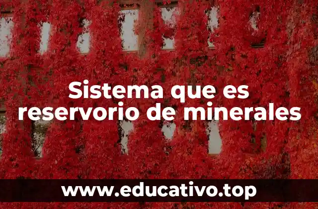 Sistema que es reservorio de minerales
