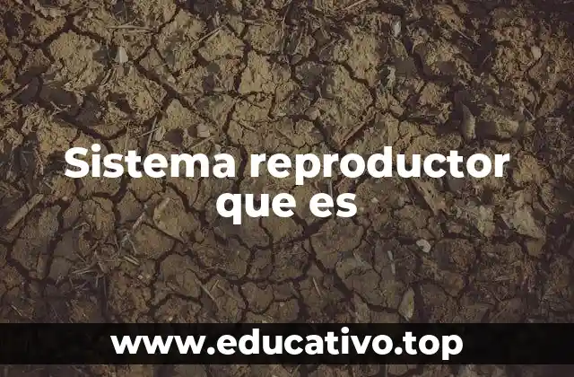 Sistema reproductor que es
