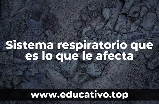 Sistema respiratorio que es lo que le afecta