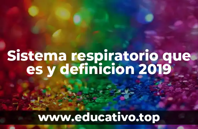 Sistema respiratorio que es y definicion 2019