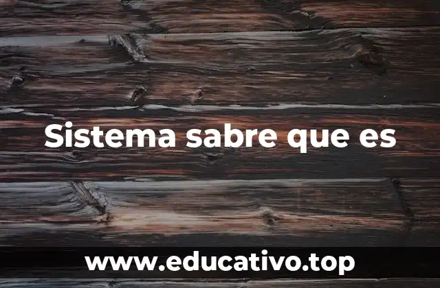 Sistema sabre que es