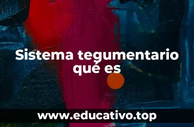 Sistema tegumentario qué es