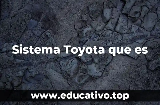 Sistema Toyota que es