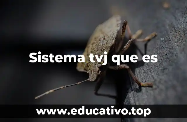 Sistema tvj que es