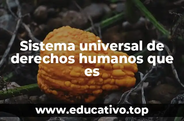 Sistema universal de derechos humanos que es