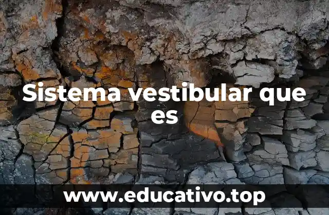 Sistema vestibular que es