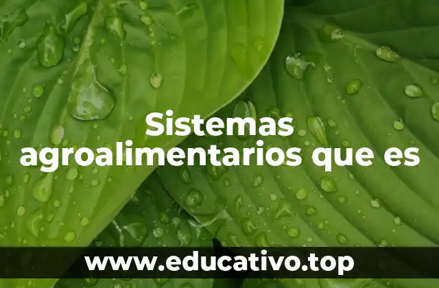 Sistemas agroalimentarios que es