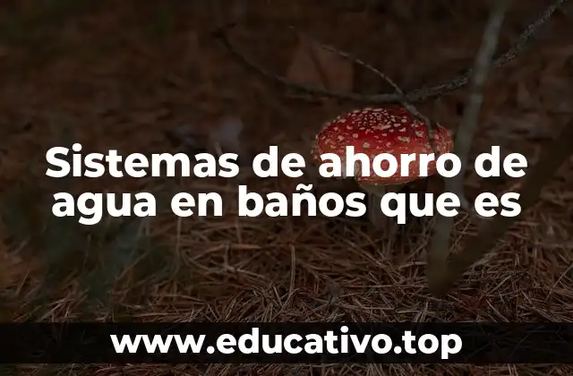 La importancia de optimizar el uso del agua en los baños