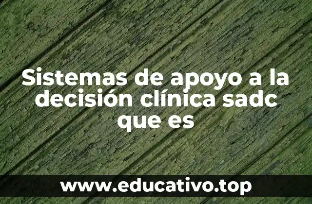 Sistemas de apoyo a la decisión clínica sadc que es