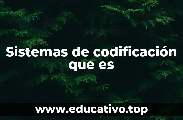 Sistemas de codificación que es